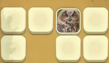 Zoo Match